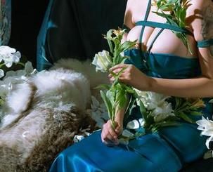 云溪溪的女王，他居然免费公开！快来下载吧，别后悔！